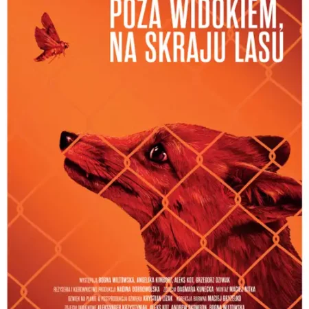 poza widokiem